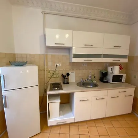 With Balcony And Ac Next To Danube