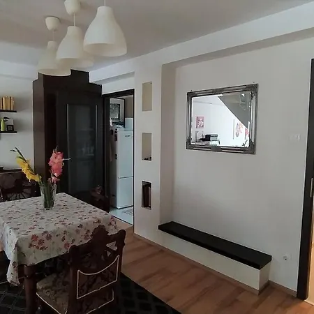 Family House By The Sziget Festival