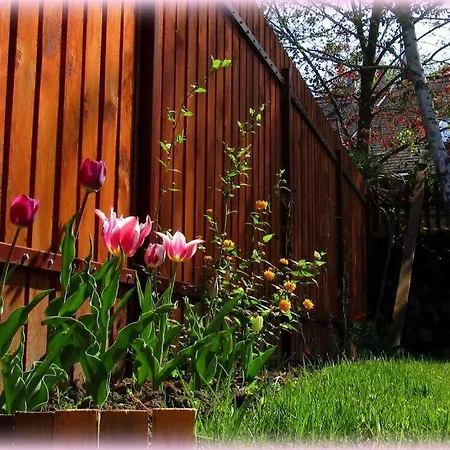 Family House By The Sziget Festival * Budapest