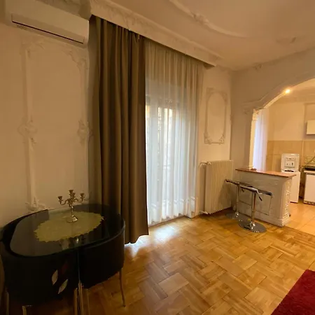 With Balcony And Ac Next To Danube
