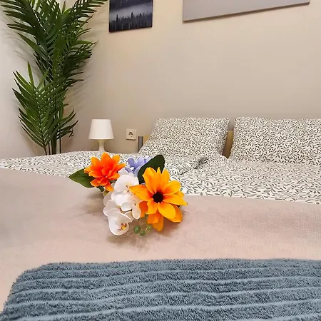 Mickey & Jerry Apartman