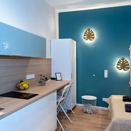 Monstera Budapest