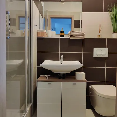 Apartament Corvin Black Bird *
