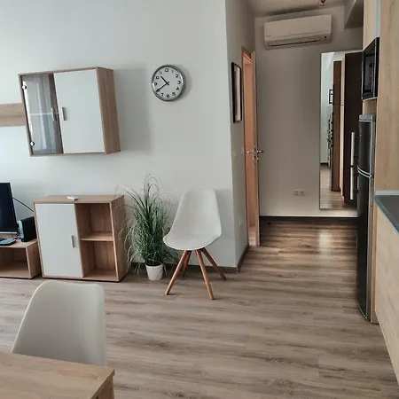Apartament Corvin Black Bird *