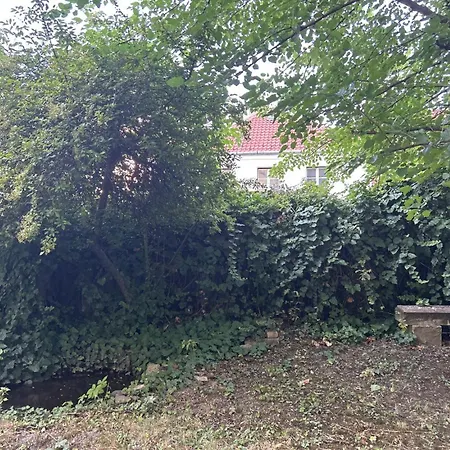 Hilltop Garden *