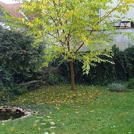 Hilltop Garden *