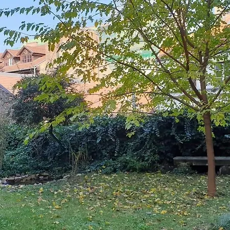 Hilltop Garden Budapest