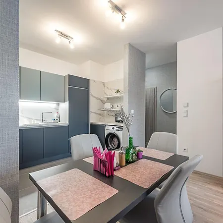 Apartmán With Garage And Balcony In Center