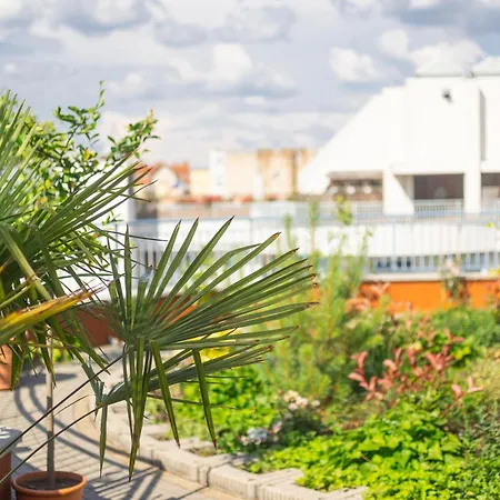 Rooftop City With Deep Garage Budapest
