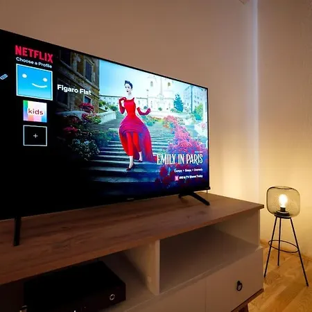 Apartment Figaro Flat - Ac, Netflix *