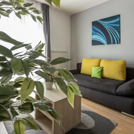 Apartman Maple Tree Budget