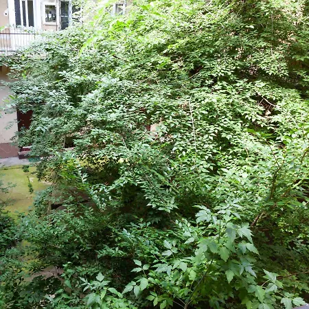 Apartment Happy Turtle