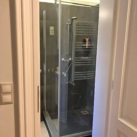 Modern Comfort In Historical Apartment