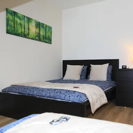 Paskal-lux With Free Parking And Air Conditioner * Budapest