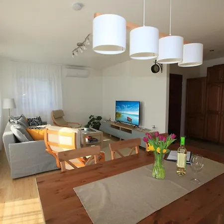 Paskal-lux With Free Parking And Air Conditioner Apartment *