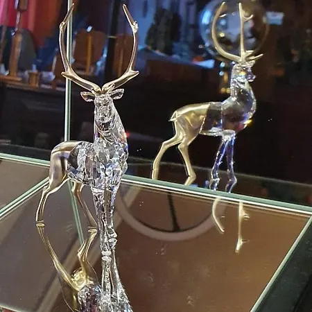 The Wonder Deer Next To The Opera Self Check-in 아파트 부다페스트