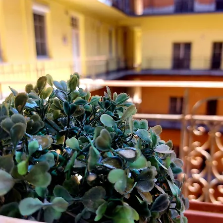 Gecko Centrum * Βουδαπέστη