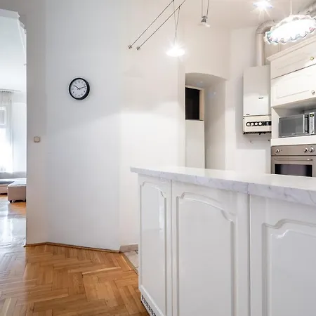 Huge In The Center Apartment Budapest