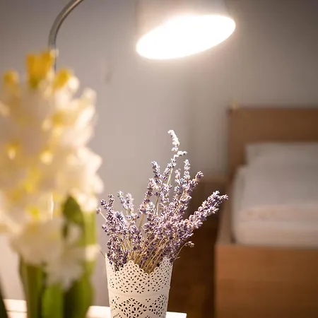 Free Parking! Linden Apartment, Ac, Smart Tv, Wifi Appartamento