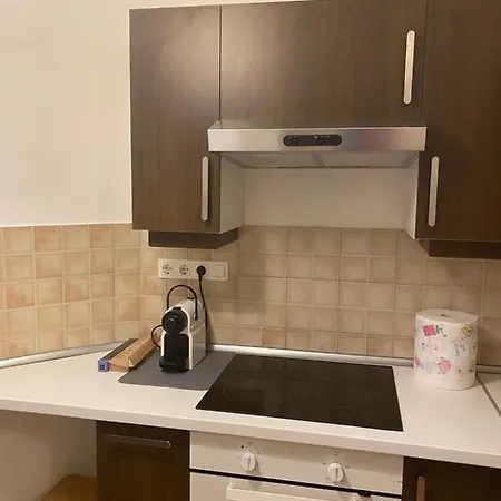 Blue Danube Downtown With Free Parking Apartment
