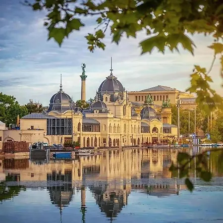 Dn Blue * Budapest