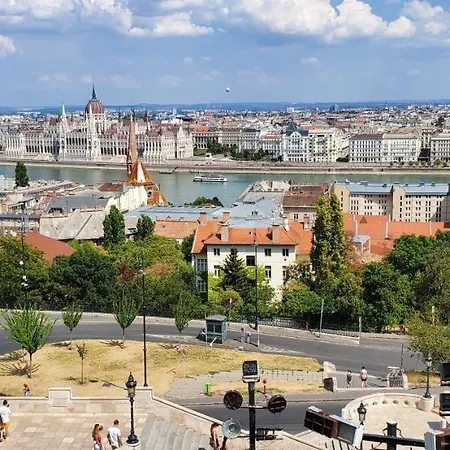 Dn Blue * Budapest