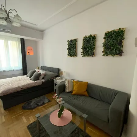 Elegant In The Centre With Ac Apartment Budapest