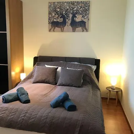 Arena Apartment *