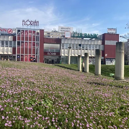 Poppy Flower Apartment