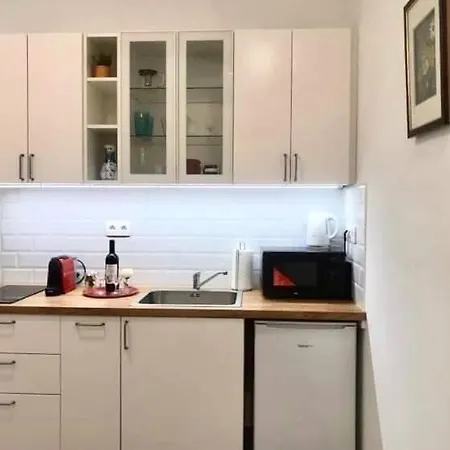 Nick's Apartment-spacious, And Quiet, By Margit Bridge * בודפשט