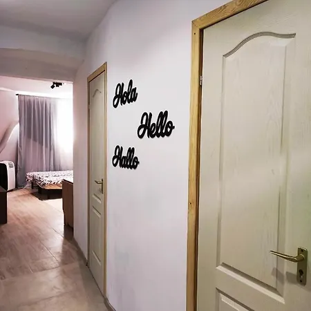 White Rose Studio Basement Apartment