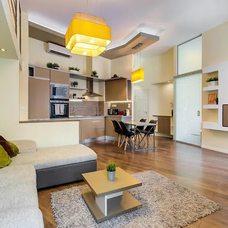 Spacious & Stylish In Downtown Appartement