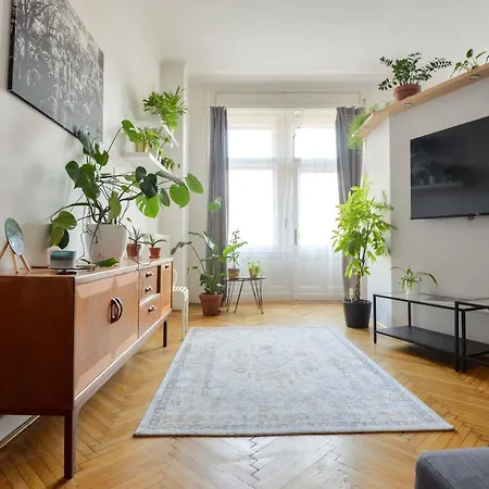 Dohany Design Appartement