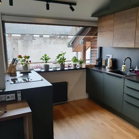 Apartment Modern Floor Loft With Balcony *