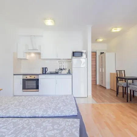Apartment Corvin Modern Studio With Ac, Parking