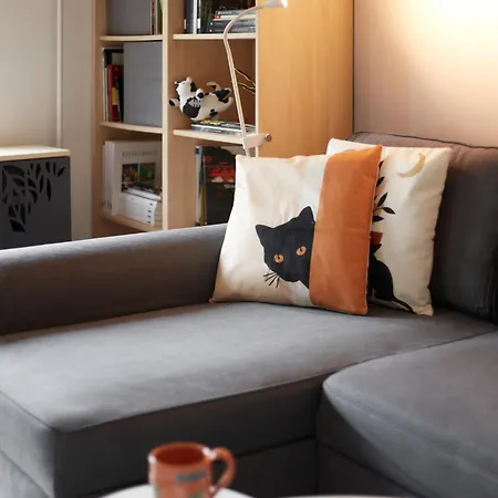 Springfield Kitty Kingdom * Budapest