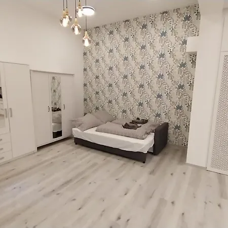 Szekely Near Deak Ferenc Square With Free Parking In Garage *