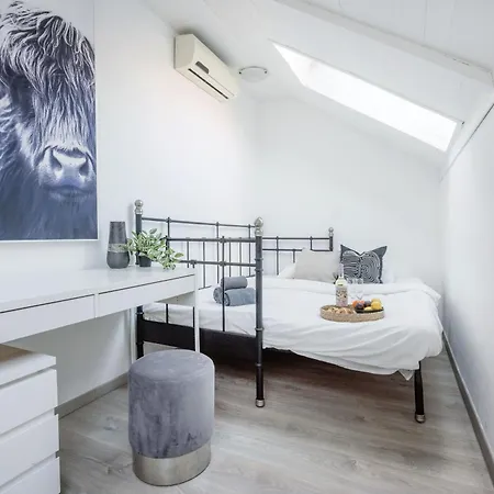 Historic Penthouse With Sauna & Jacuzzi @downtown Apartment *