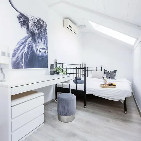 Apartment Historic Penthouse With Sauna & Jacuzzi @downtown *