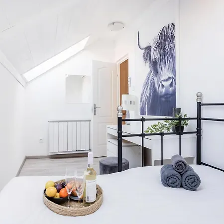 Historic Penthouse With Sauna & Jacuzzi @downtown *