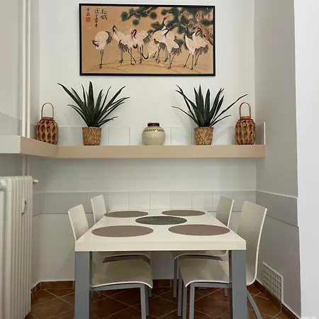 Palms * Budapest