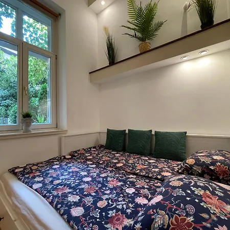 Palms * Budapest