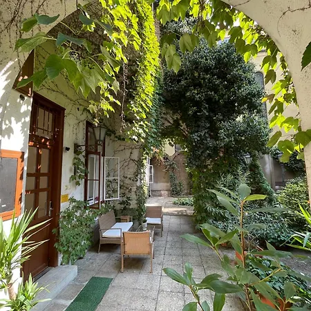 Palms * Budapest