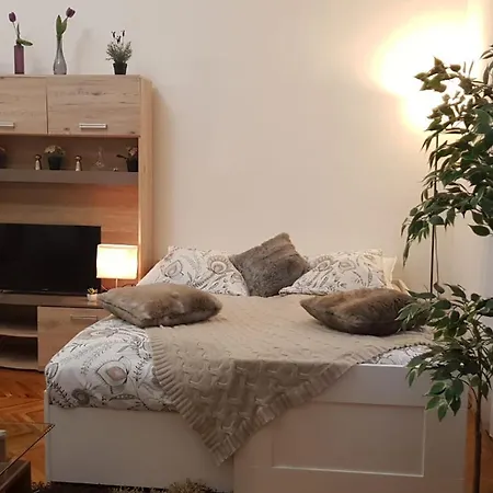 River Center Apartment