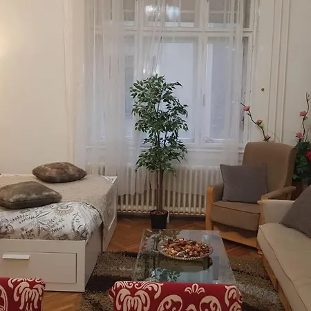 River Center Apartment *