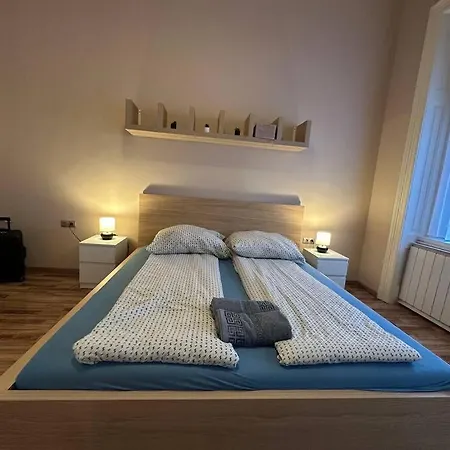 Fancy Cozy 2 Bdr Downtown Apartment