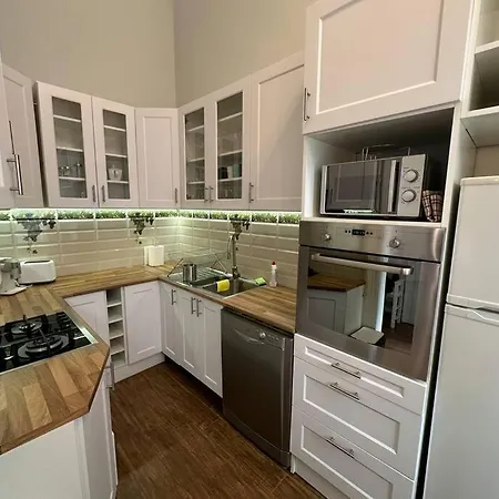 Fancy Cozy 2 Bdr Downtown Apartment *