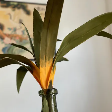 Apartment Palms *