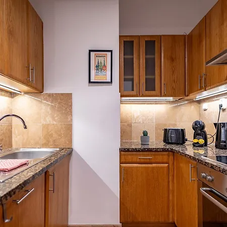 Mooki Loft&garden In Sohobudapest Apartment