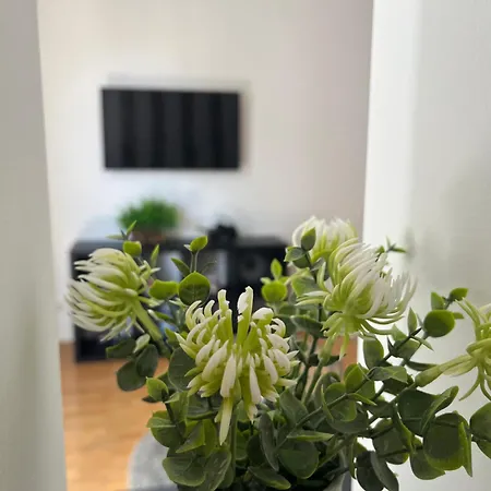Peter's Cosy * Budapest